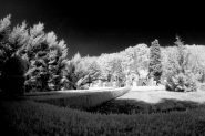 MMIR0039.jpg