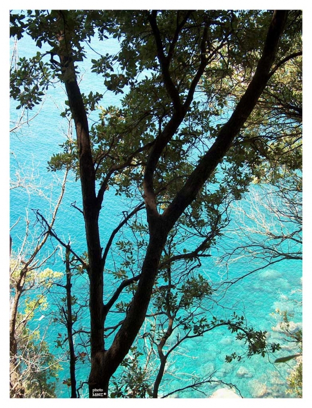 Clicca per l'immagine full size