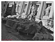trevi_bn1.jpg trevi_bn1.jpg