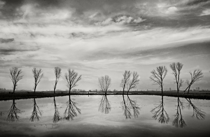 Clicca per l'immagine full size