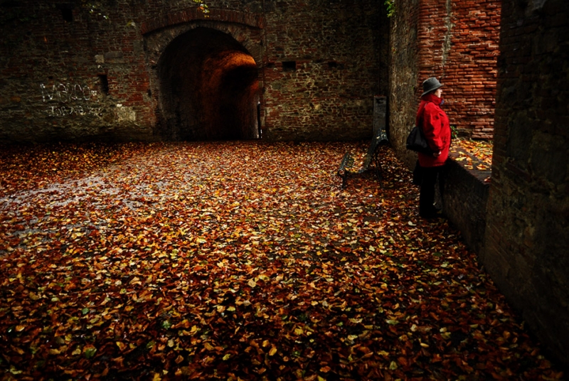 Clicca per l'immagine full size