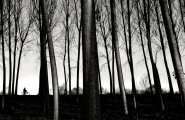 Nome File=312_-______.jpg
Dimensione File=578KB
Dimensioni=1100x715
Data aggiunta=Ott 20, 2012 312_-______.jpg