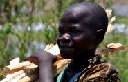 Nome File=Figli_d_Africa_-_Il_piccolo_grande_lavoratore.jpg
Dimensione File=391KB
Dimensioni=935x605
Data aggiunta=Dic 27, 2010 Figli_d_Africa_-_Il_piccolo_grande_lavoratore.jpg