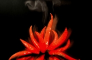 Nome File=I_quattro_elementi_-_FUOCO.jpg
Dimensione File=201KB
Dimensioni=708x463
Data aggiunta=Giu 18, 2010 I_quattro_elementi_-_FUOCO.jpg
