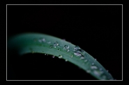 LCA_6303.jpg LCA_6303.jpg