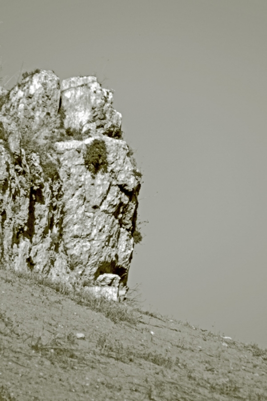 Clicca per l'immagine full size