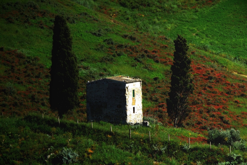 Clicca per l'immagine full size