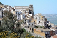 IMG_1564m.jpg
