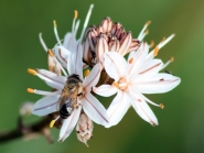macro_012.jpg macro_012.jpg