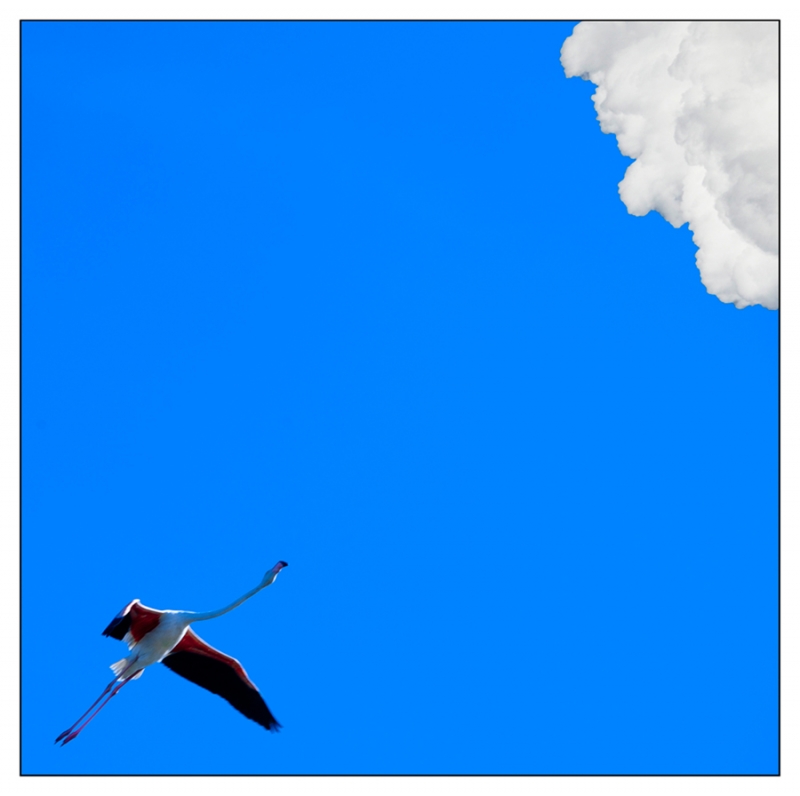 Clicca per l'immagine full size