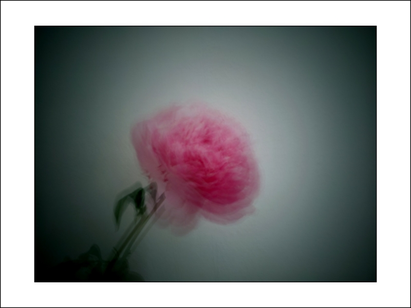 Clicca per l'immagine full size