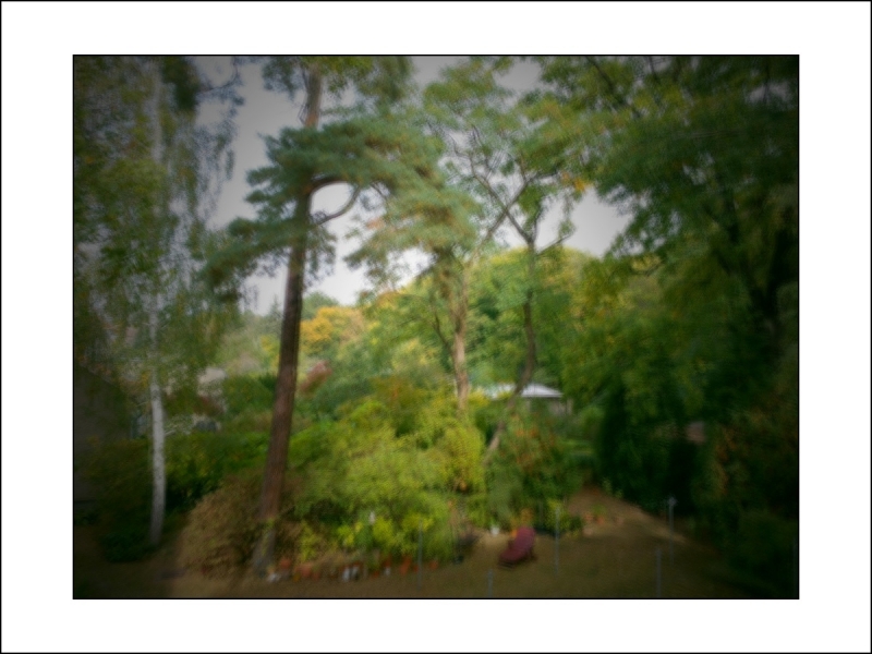Clicca per l'immagine full size