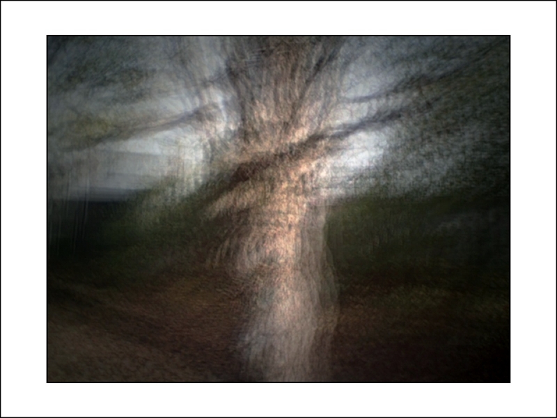 Clicca per l'immagine full size