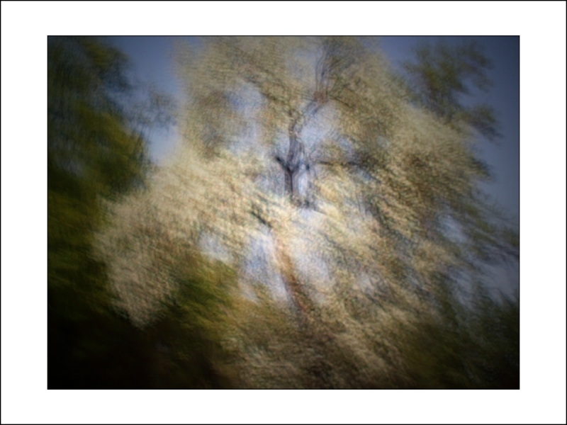Clicca per l'immagine full size