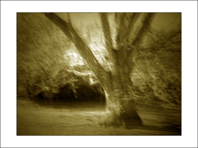 Clicca per l'immagine full size