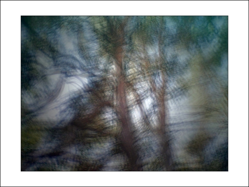 Clicca per l'immagine full size