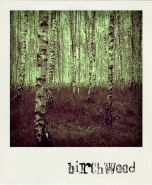birchwood.jpg