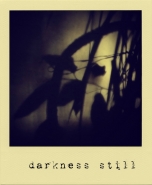 Nome File=darknessstill.jpg
Dimensione File=87KB
Dimensioni=600x727
Data aggiunta=Mag 14, 2011 darknessstill.jpg