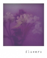 flowers.jpg