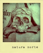 Nome File=naturamorte.jpg
Dimensione File=160KB
Dimensioni=600x727
Data aggiunta=Apr 18, 2011 naturamorte.jpg