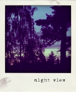 nightview.jpg