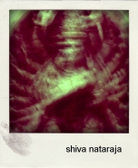 shivanataraja.jpg