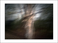 Nome File=shiveringtree.jpg
Dimensione File=185KB
Dimensioni=1200x900
Data aggiunta=Giu 25, 2019 shiveringtree.jpg