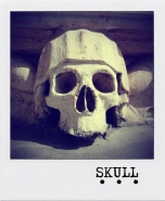 Nome File=skull.jpg
Dimensione File=139KB
Dimensioni=600x727
Data aggiunta=Mag 16, 2011 skull.jpg