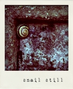 Nome File=snailstill.jpg
Dimensione File=182KB
Dimensioni=600x727
Data aggiunta=Feb 08, 2011 snailstill.jpg