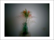 Nome File=summerflowers.jpg
Dimensione File=133KB
Dimensioni=1200x900
Data aggiunta=Giu 18, 2019 summerflowers.jpg