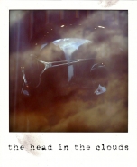 theheadintheclouds.jpg theheadintheclouds.jpg