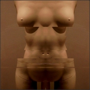 torso(1).jpg
