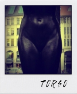torso~0.jpg