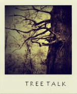 treetalk.jpg