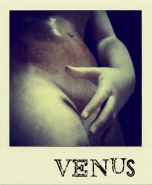 venus~1.jpg