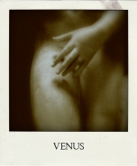 venus.jpg