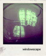 windowscape.jpg