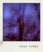 windtrees.jpg