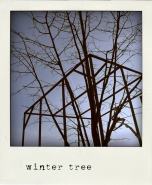 Nome File=wintertree.jpg
Dimensione File=205KB
Dimensioni=600x729
Data aggiunta=Dic 24, 2010 wintertree.jpg