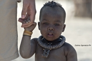 Nome File=Baby-Himba-micromosso.jpg
Dimensione File=398KB
Dimensioni=915x611
Data aggiunta=Nov 26, 2013 Baby-Himba-micromosso.jpg