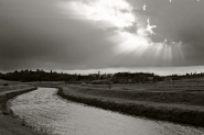 Nome File=CAMPAGNA-TOSCANA.jpg
Dimensione File=355KB
Dimensioni=1024x681
Data aggiunta=Mar 02, 2012 CAMPAGNA-TOSCANA.jpg