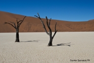 Nome File=SOSSUSVLEI-DESERT-4.jpg
Dimensione File=589KB
Dimensioni=1150x768
Data aggiunta=Dic 23, 2013 SOSSUSVLEI-DESERT-4.jpg