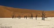 Nome File=SOSSUSVLEI-DESERT-5.jpg
Dimensione File=384KB
Dimensioni=1050x552
Data aggiunta=Dic 24, 2013 SOSSUSVLEI-DESERT-5.jpg