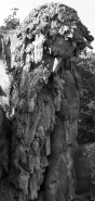 Nome File=TRISTEZZA-NEGL_OCCHI.jpg
Dimensione File=335KB
Dimensioni=490x1024
Data aggiunta=Giu 08, 2010 TRISTEZZA-NEGL_OCCHI.jpg