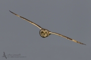 Filename=cc.jpg
Filesize=474KB
Dimensions=1200x797
Date added=Mar 16, 2013 cc.jpg