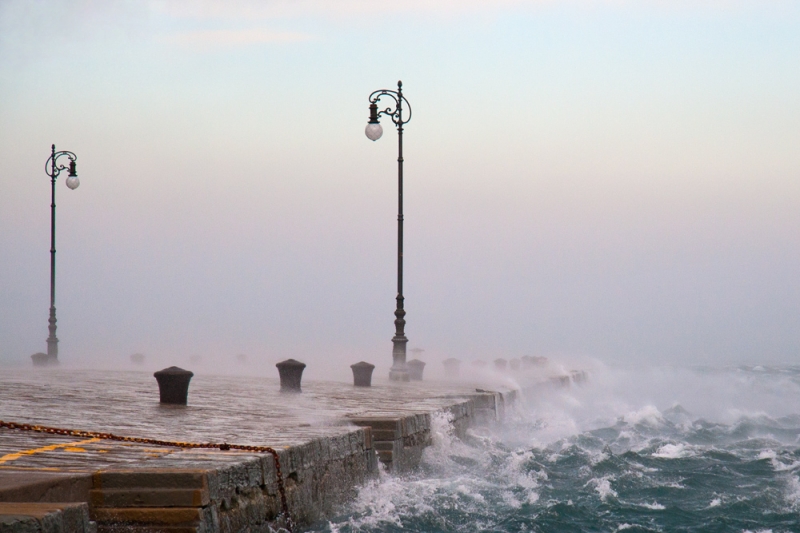 Clicca per l'immagine full size