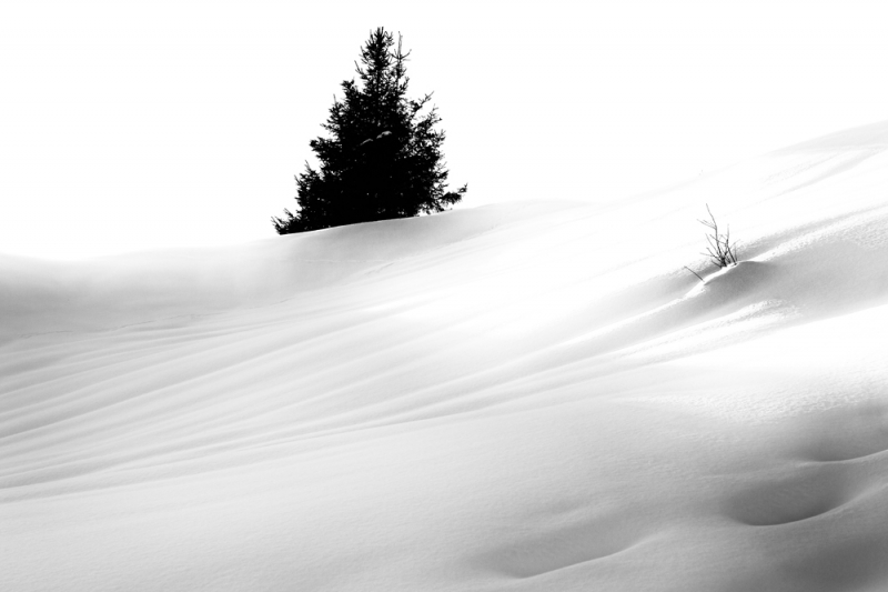 Clicca per l'immagine full size