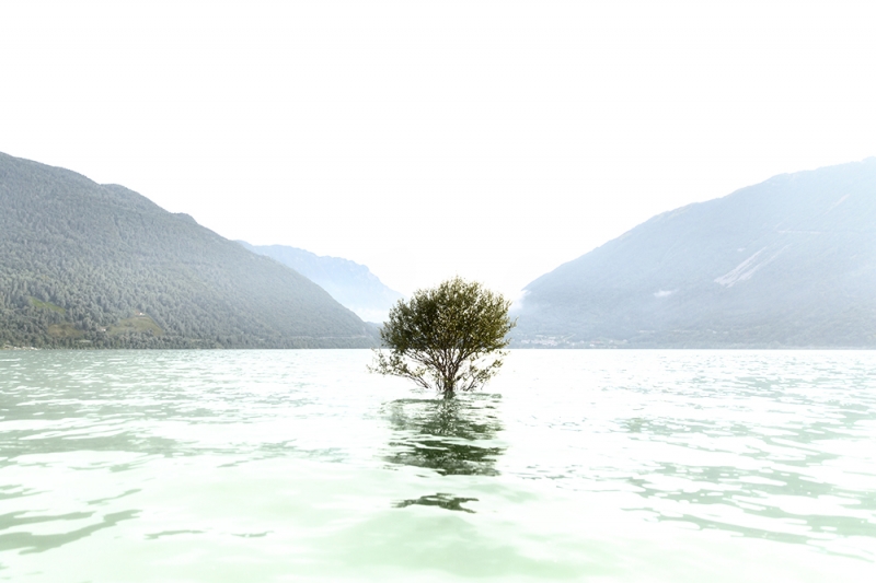 Clicca per l'immagine full size