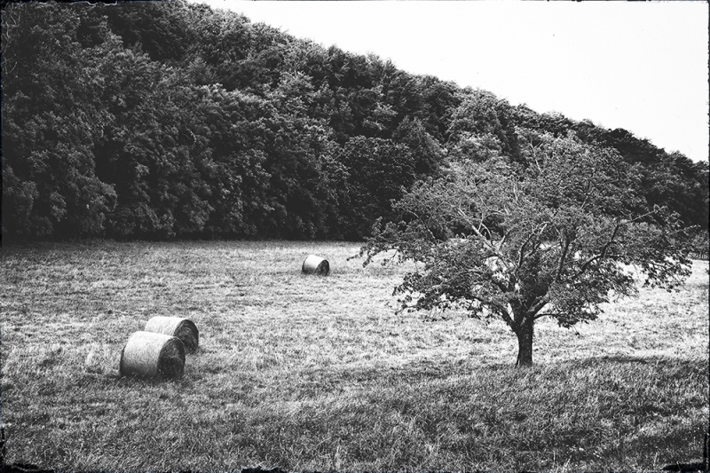 Clicca per l'immagine full size