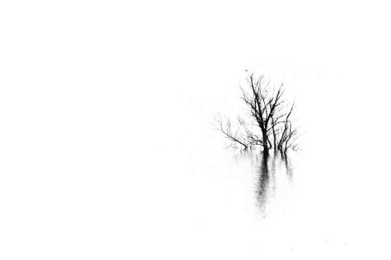 Clicca per l'immagine full size